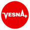 Vesna Power