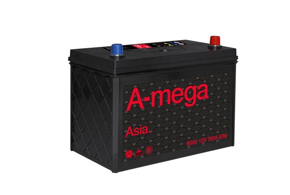 На фото: Акумулятор Amega Standard ASIA 90Ah (700A)